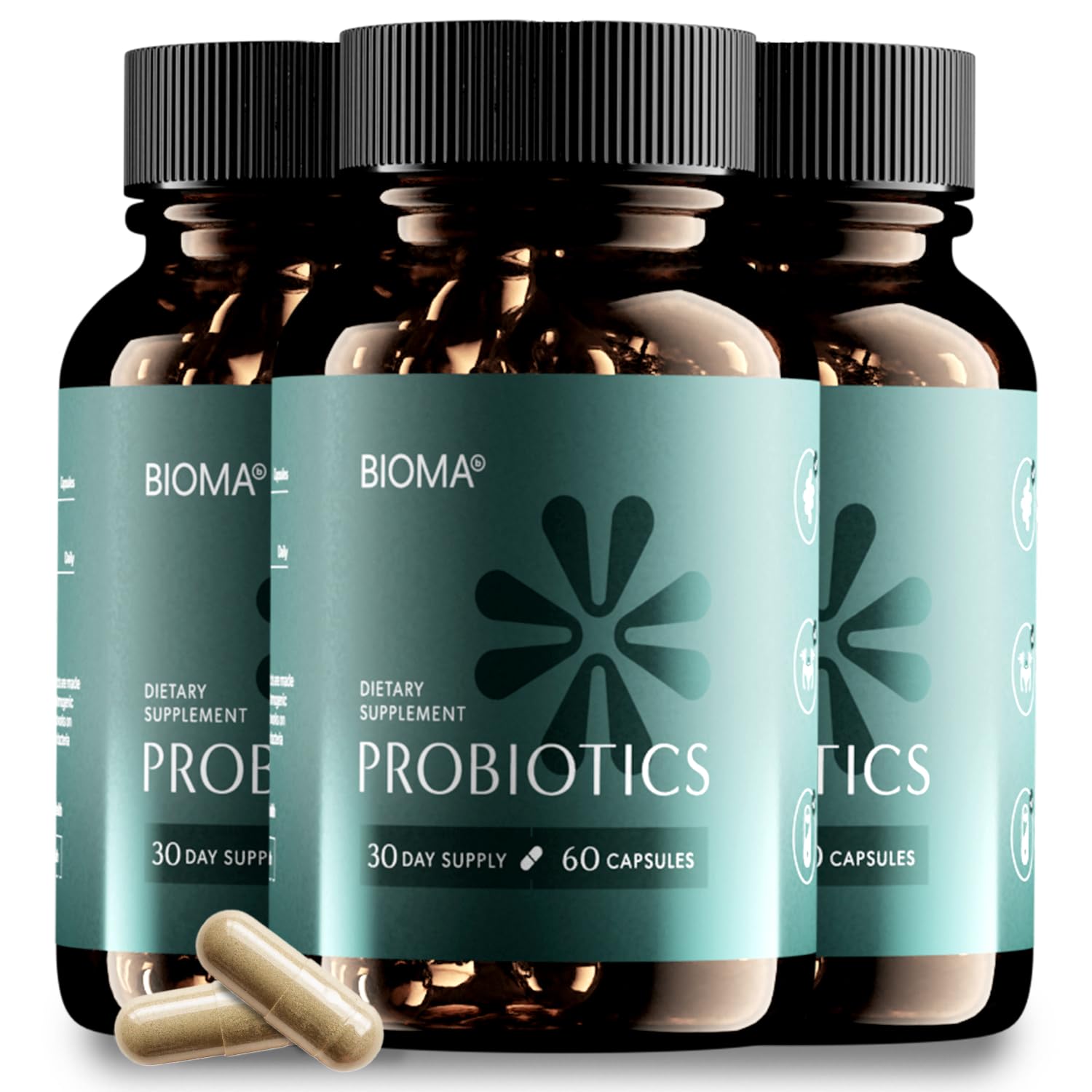 Probiotics for Digestive Health